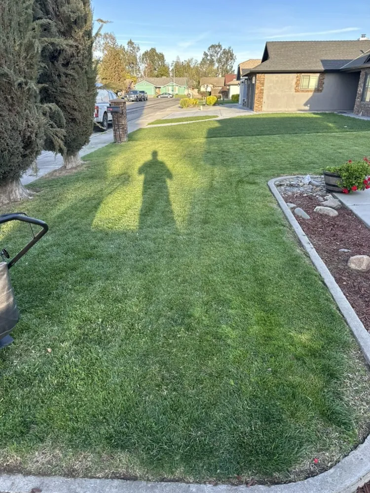 Reliable yard cleanup service experts serving Hilmar, CA - Longhorn Lawn service