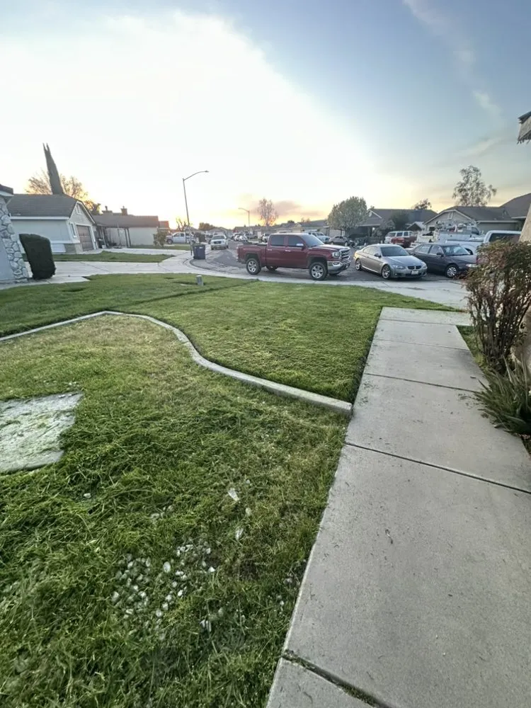Top-rated residential landscaping in Hilmar, CA by Longhorn Lawn service