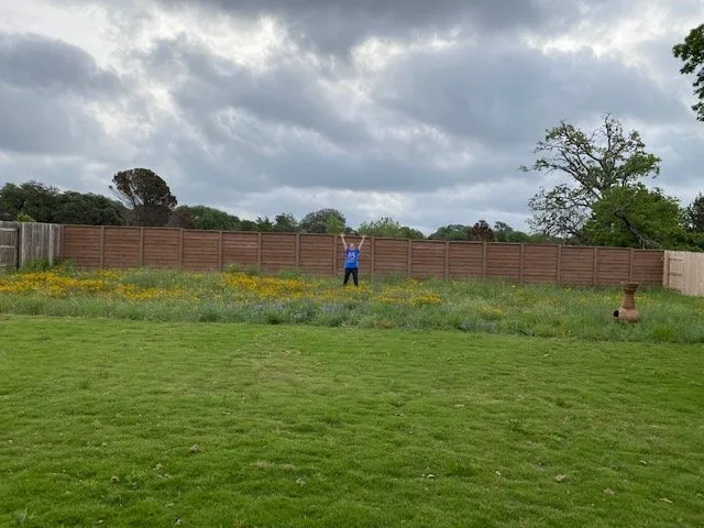 Top-rated yard cleanup service experts serving Austin, TX - Longhorn Lawns