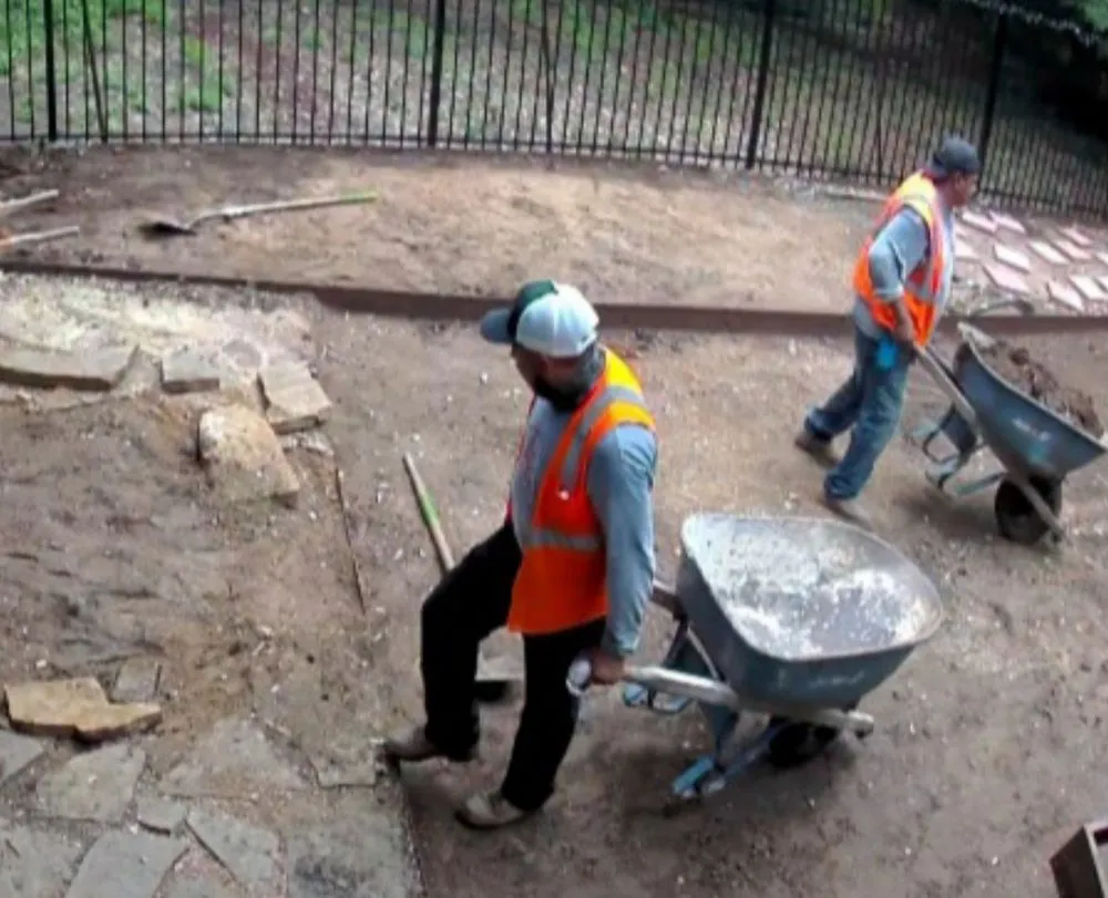 Reliable yard maintenance in Austin, TX - Longhorn Lawns