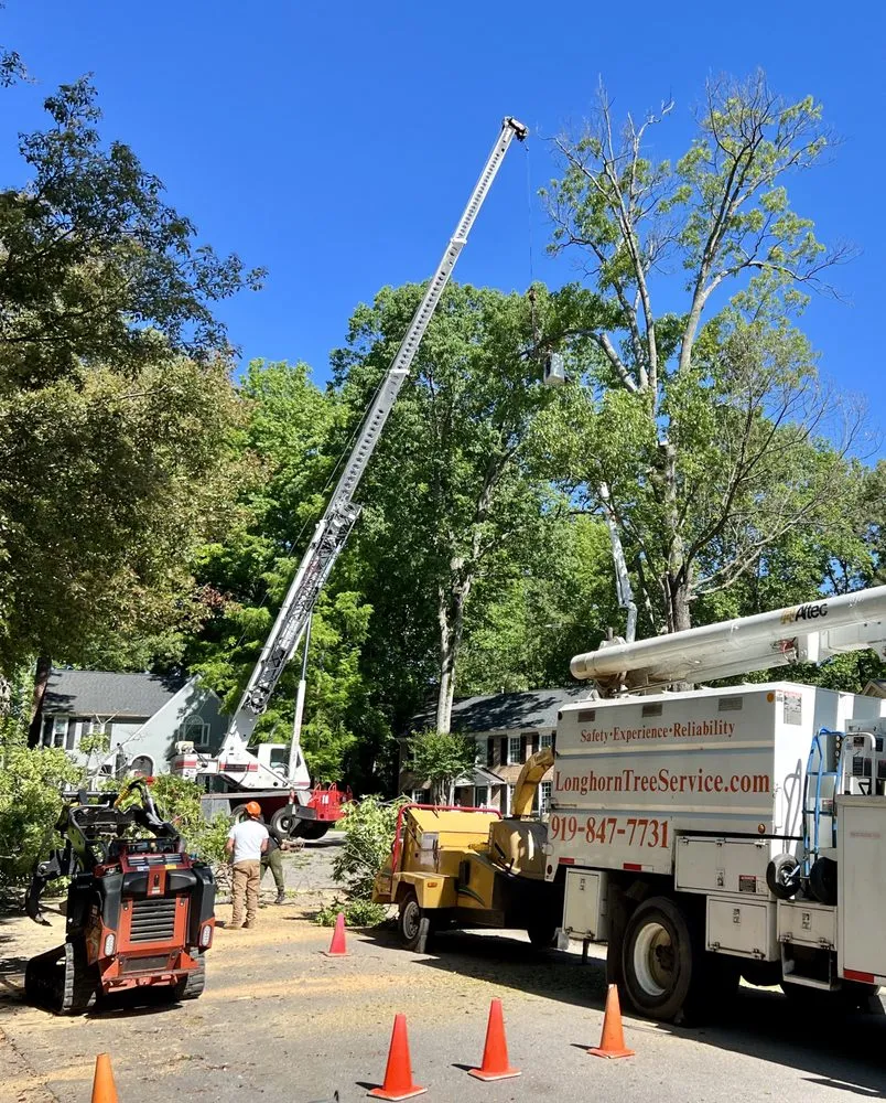 Top-rated landscaping services for homes across Raleigh, NC - Longhorn Tree Service