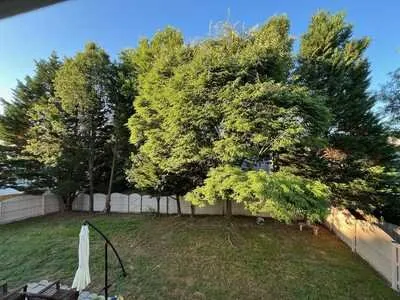 Affordable garden landscaping for outdoor upgrades across Raleigh, NC - Longhorn Tree Service