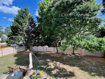 Affordable yard cleanup service in Raleigh, NC by Longhorn Tree Service