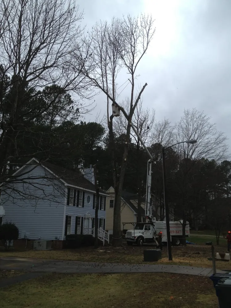 Top-rated landscape installation in Raleigh, NC by Longhorn Tree Service