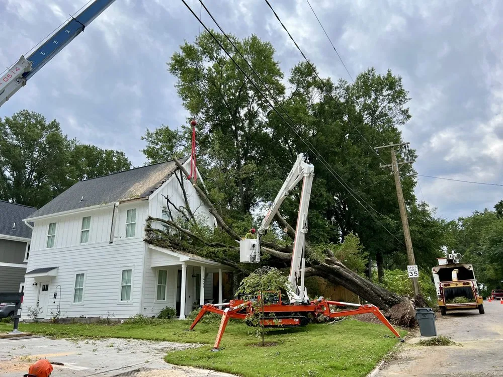 Expert landscape design for year-round maintenance in Raleigh, NC by Longhorn Tree Service