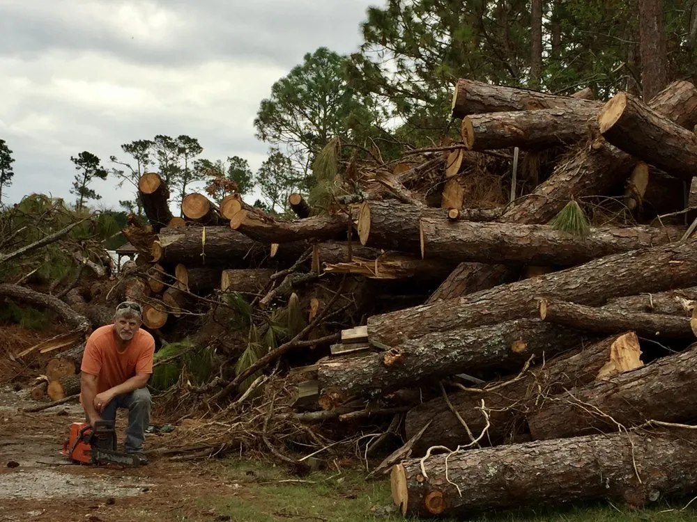 Local yard maintenance experts serving Raleigh, NC - Longhorn Tree Service
