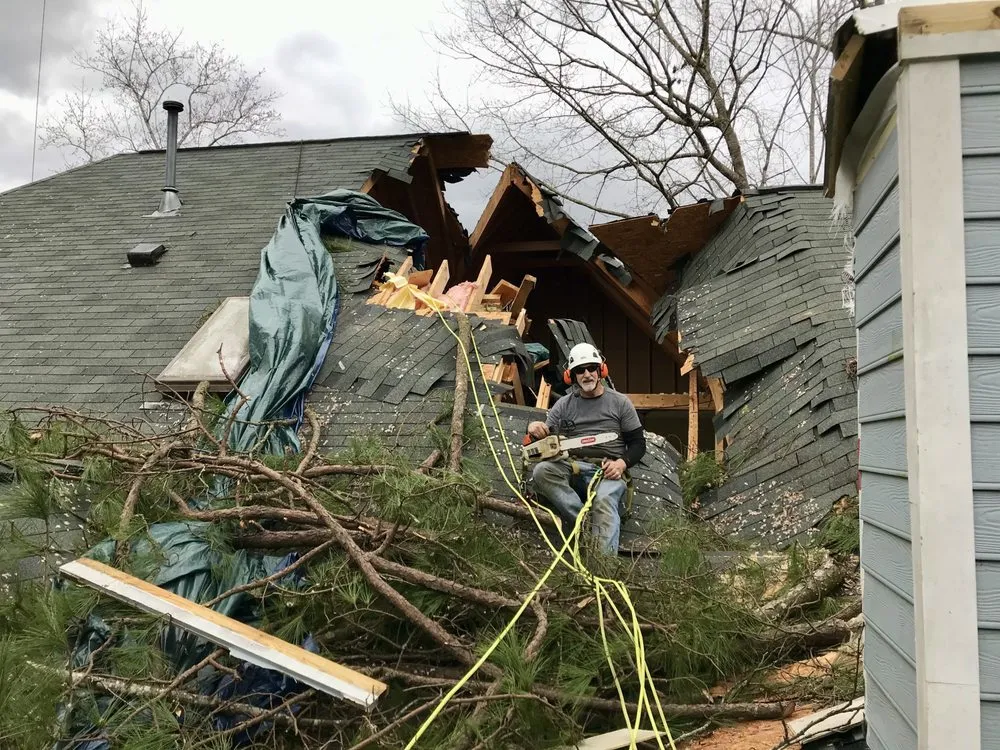 Affordable lawn mowing service in Raleigh, NC - Longhorn Tree Service