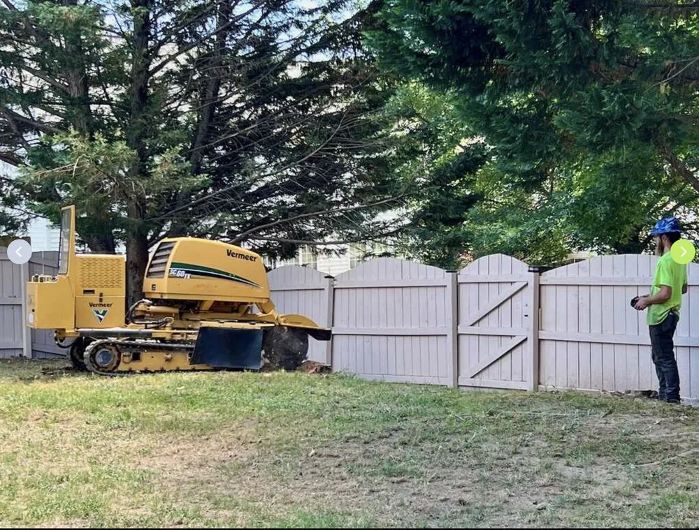 Top-rated residential landscaping with custom design in Raleigh, NC by Longhorn Tree Service