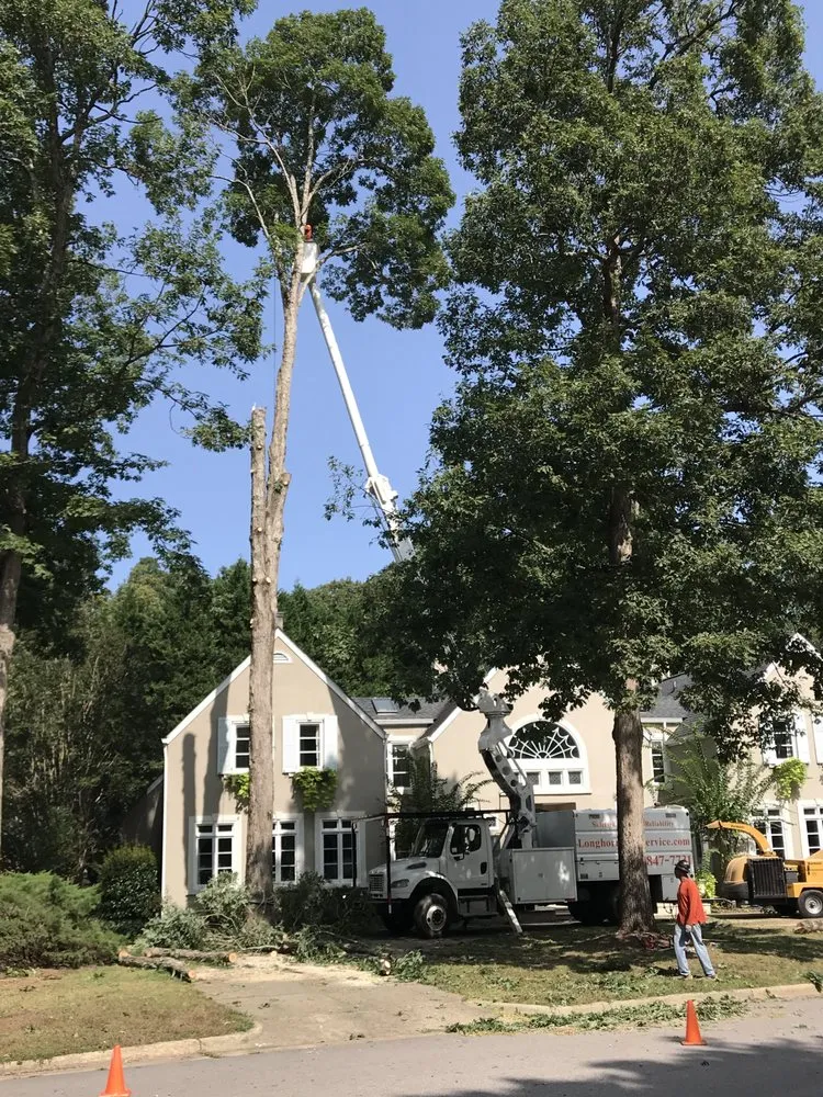 Top-rated outdoor landscaping in Raleigh, NC by Longhorn Tree Service