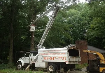 Affordable yard maintenance for homes in Raleigh, NC by Longhorn Tree Service
