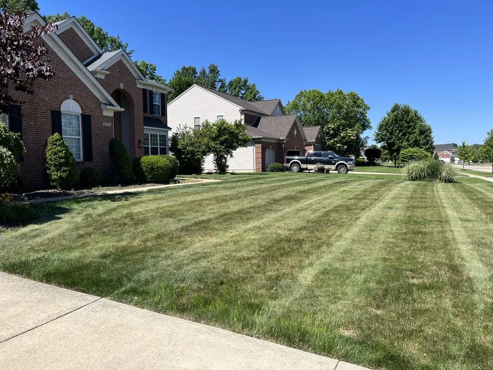 Top-rated yard cleanup service experts serving Westlake, OH - Longhorns Property Management