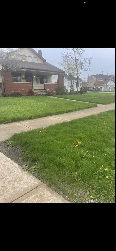 Custom lawn mowing service experts serving Westlake, OH - Longhorns Property Management