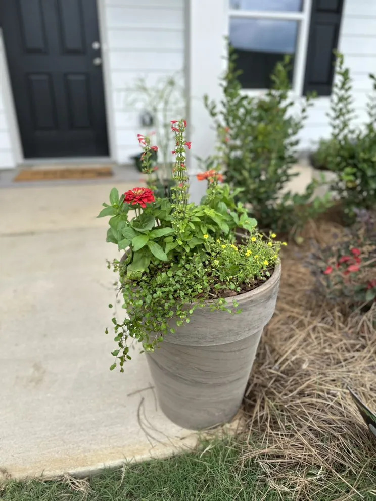 Top-rated residential landscaping for outdoor upgrades in Birmingham, AL by Longleaf Outdoors