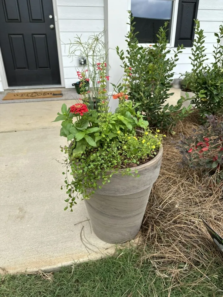 Trusted yard cleanup service for homes across Birmingham, AL - Longleaf Outdoors