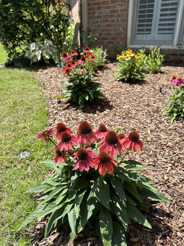 Trusted residential landscaping for residential properties in Birmingham, AL by Longleaf Outdoors