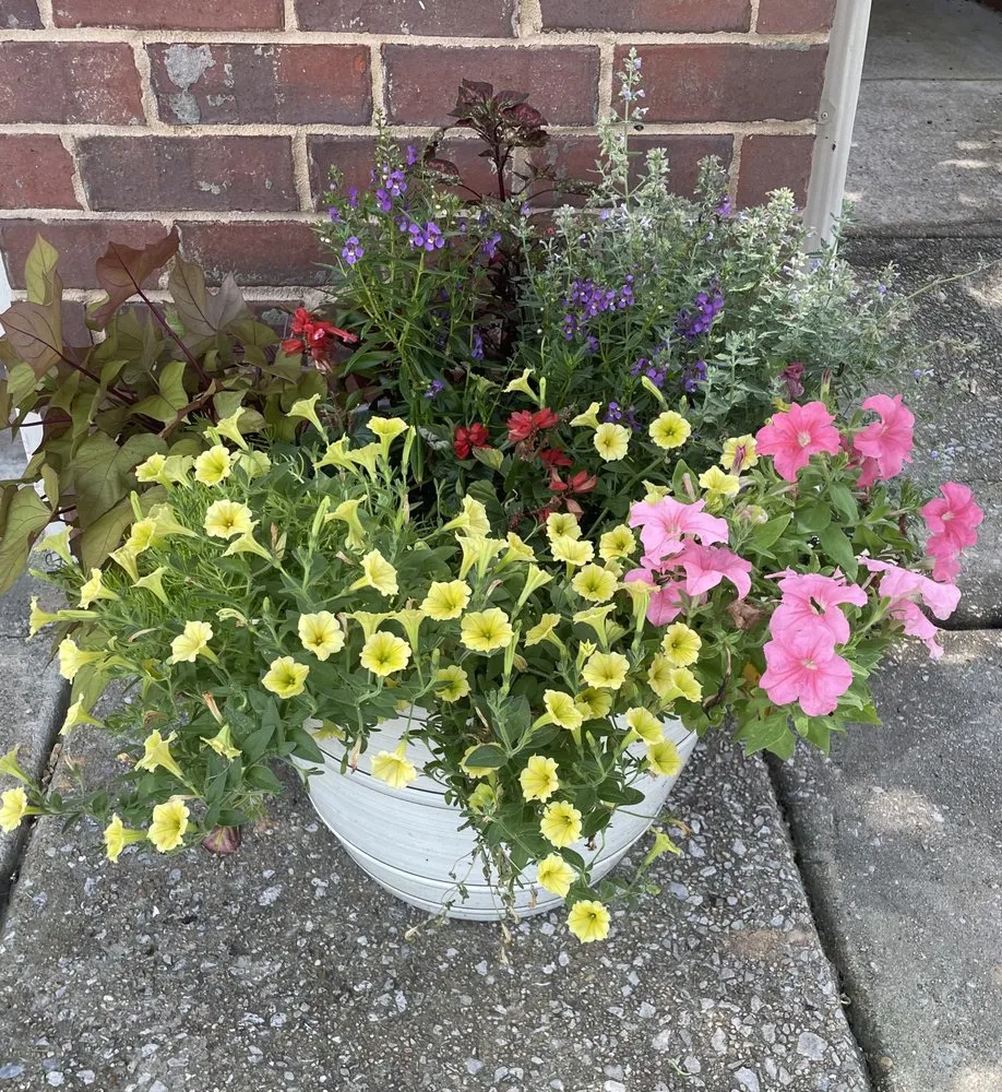 Professional landscaping services in Birmingham, AL by Longleaf Outdoors