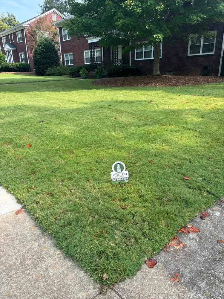 Professional lawn care service for outdoor upgrades across Boiling Springs, SC - Longleaf Turf Pros