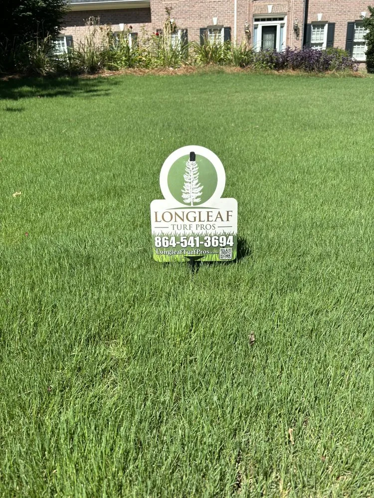 Professional landscape installation for year-round maintenance in Boiling Springs, SC by Longleaf Turf Pros