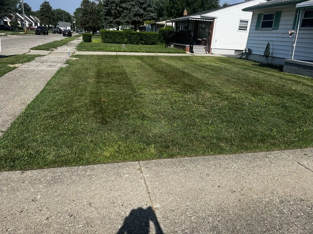 Professional landscaping services for year-round maintenance in Roseville, MI by Longneck Landscaping & Property Management