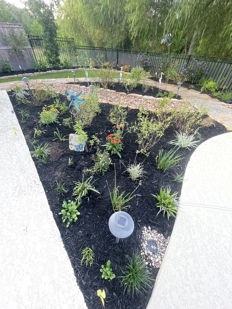 Top-rated landscape installation in Conroe, TX - Longoria Landscaping