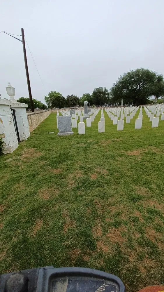 Affordable landscape design in San Antonio, TX by Longoria Lawn & Landscaping