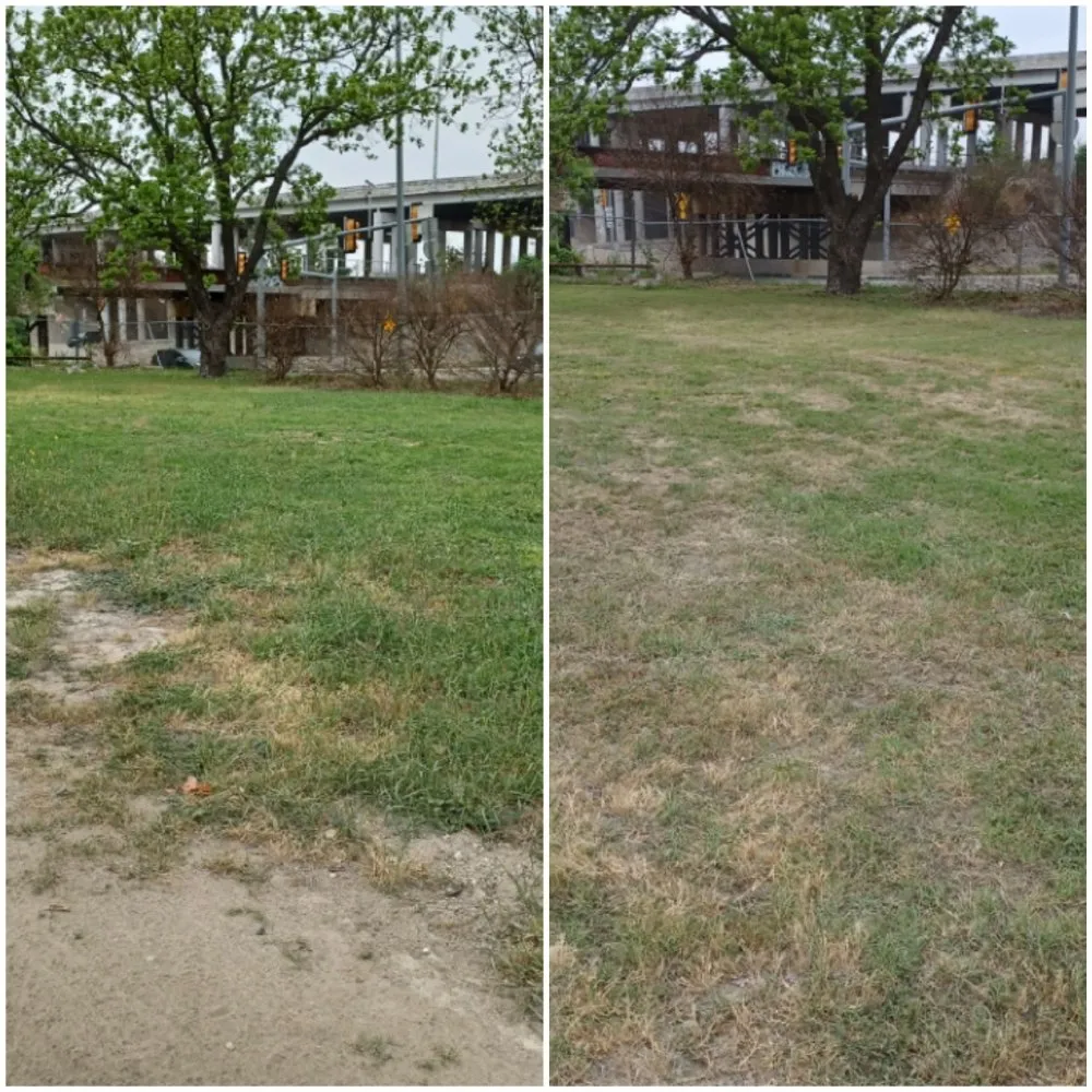 Expert landscape design experts serving San Antonio, TX - Longoria Lawn & Landscaping