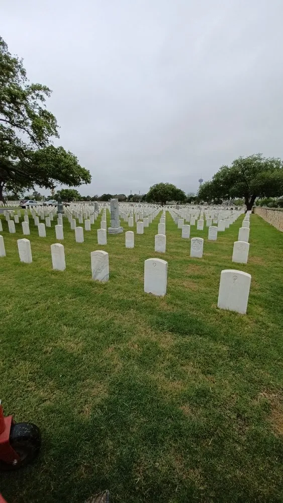 Expert landscape installation experts serving San Antonio, TX - Longoria Lawn & Landscaping