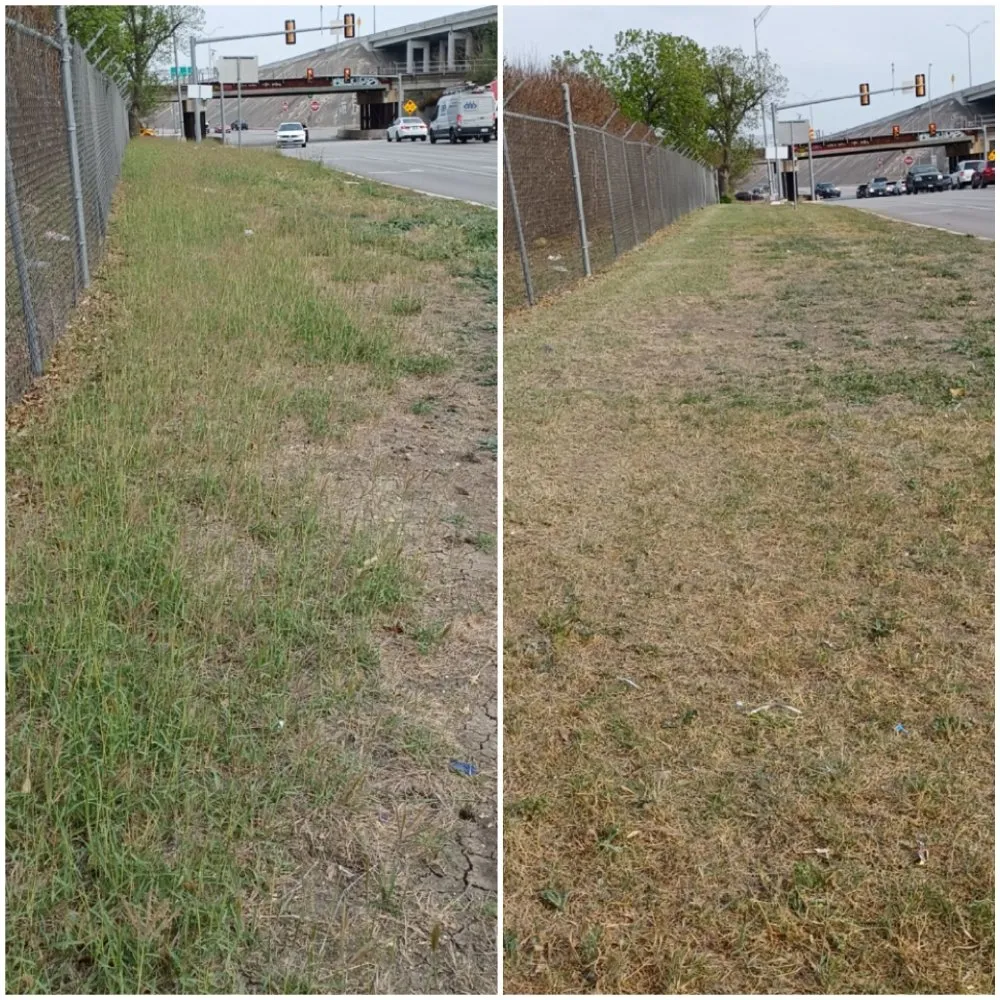 Trusted landscape design for outdoor upgrades across San Antonio, TX - Longoria Lawn & Landscaping