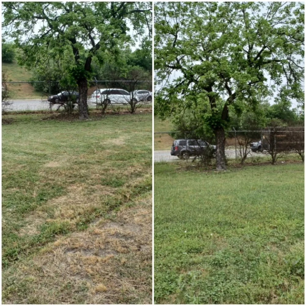 Affordable residential landscaping in San Antonio, TX - Longoria Lawn & Landscaping