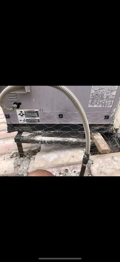 Reliable outdoor landscaping experts serving Yuma, AZ - Longo's Solar Cleaning