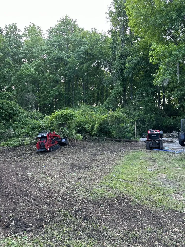 Expert outdoor landscaping in Charleston, SC by Long's Landscape Management