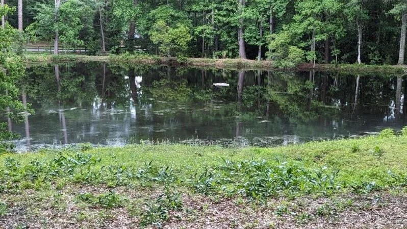 Local yard cleanup service for beautiful yards in Columbus, GA by Long's Landscaping