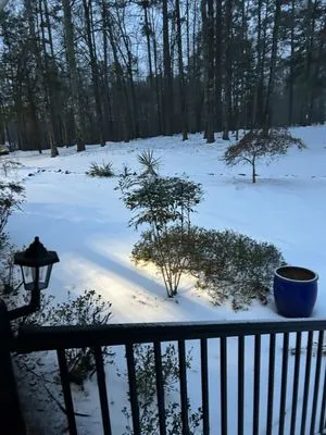 Long’s Landscaping Logo