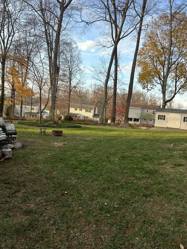 Local yard cleanup service near you across West Chester, PA - Long's Property Services