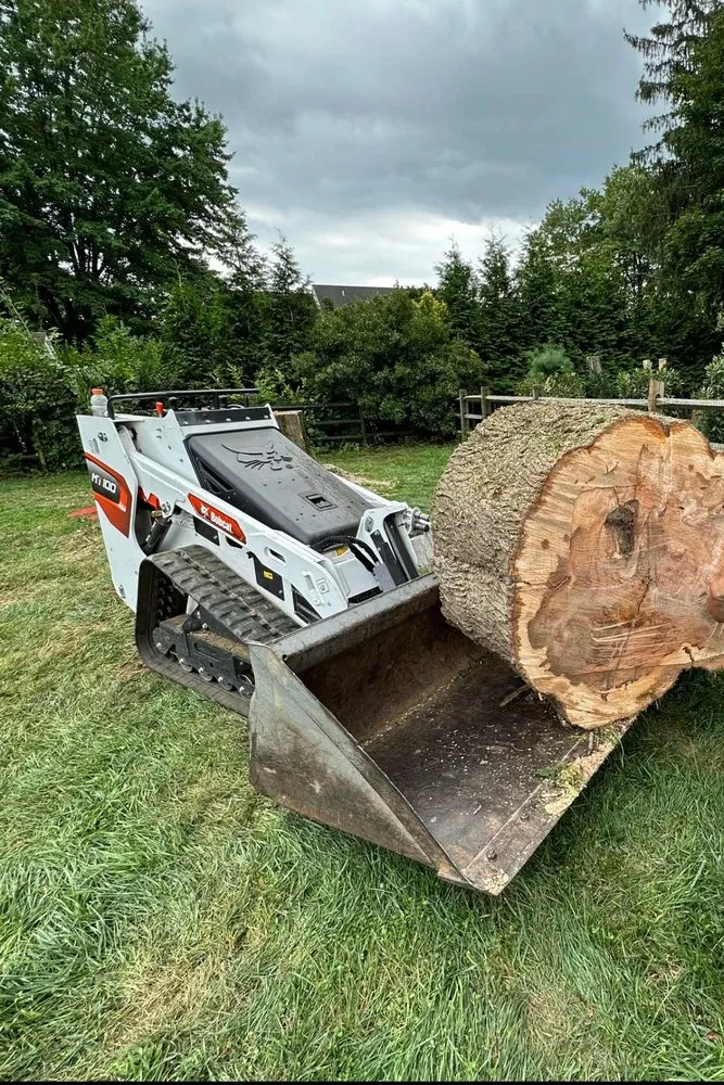 Affordable landscaping services in West Chester, PA by Long's Property Services