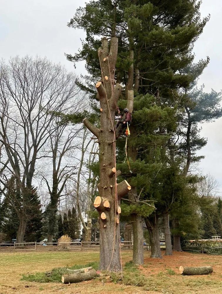 Custom lawn mowing service for homes across West Chester, PA - Long's Property Services