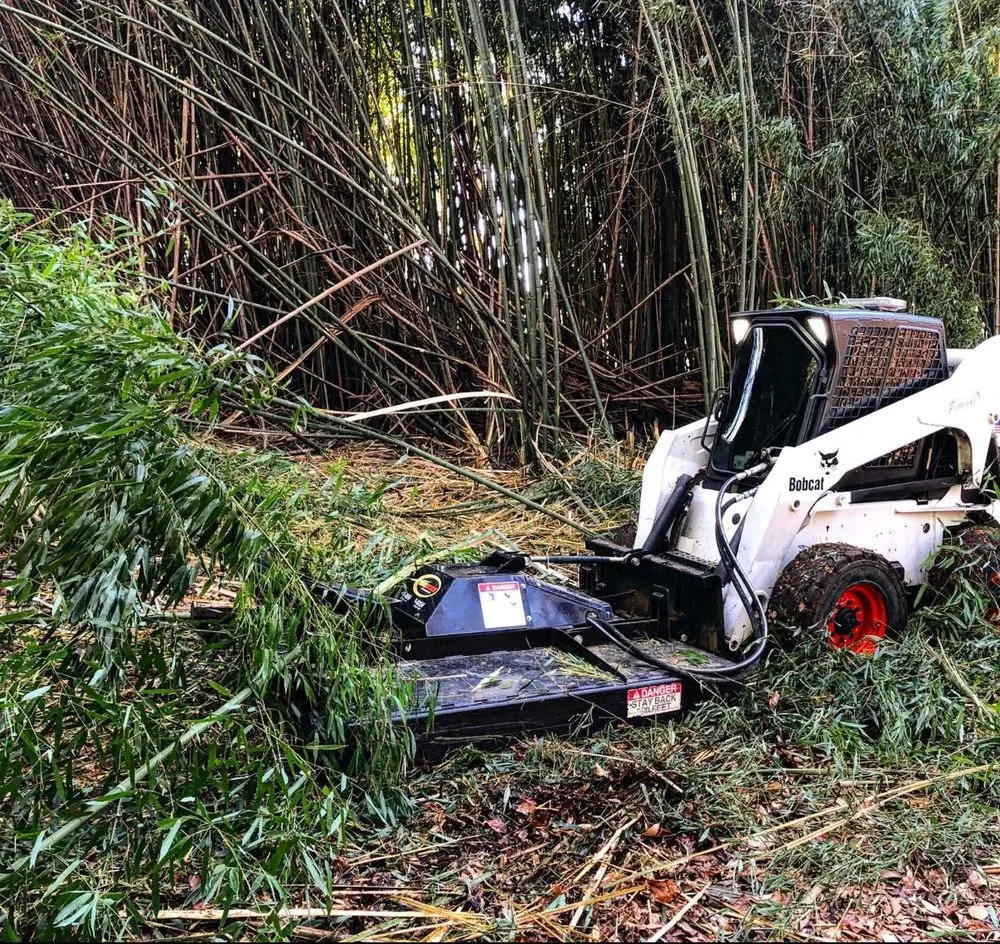 Trusted landscape installation experts serving West Chester, PA - Long's Property Services