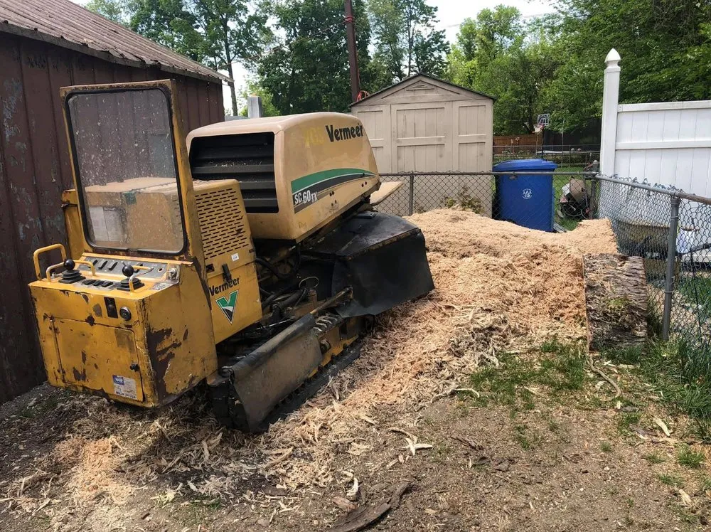 Top-rated yard cleanup service experts serving West Chester, PA - Long's Property Services