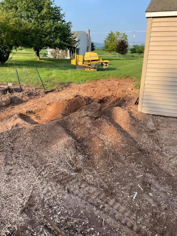 Custom outdoor landscaping for homes in Millersburg, PA by Longs Stump Grinding Services