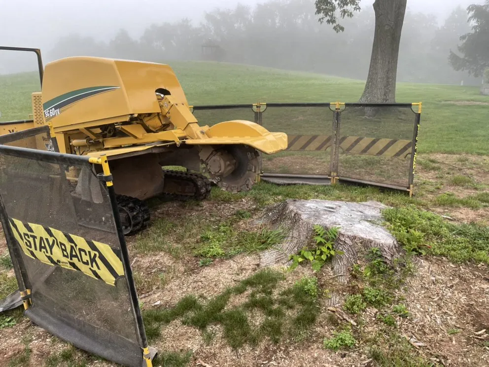 Reliable yard cleanup service with custom design in Millersburg, PA by Longs Stump Grinding Services