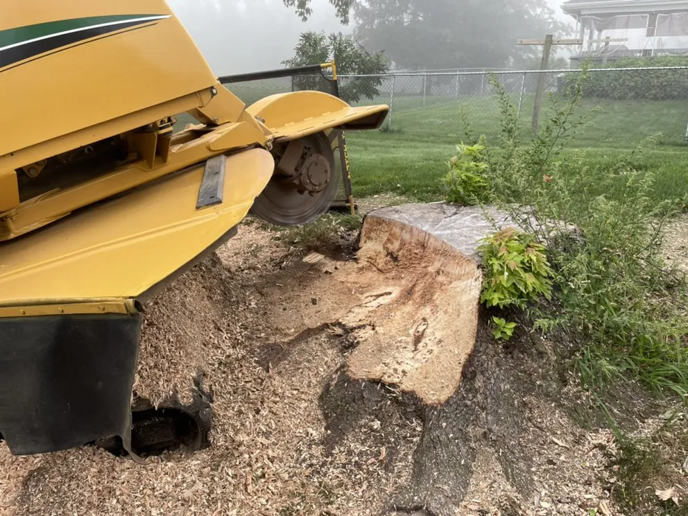 Reliable lawn mowing service in Millersburg, PA by Longs Stump Grinding Services