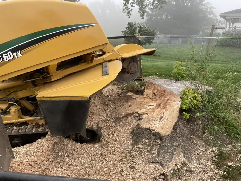 Reliable yard cleanup service for beautiful yards in Millersburg, PA by Longs Stump Grinding Services
