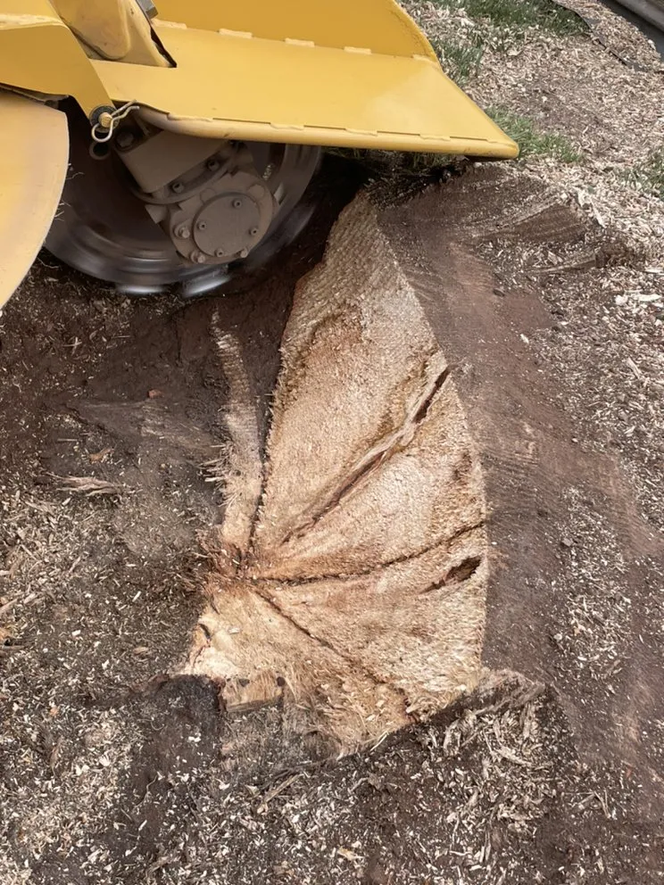 Top-rated yard maintenance in Millersburg, PA - Longs Stump Grinding Services
