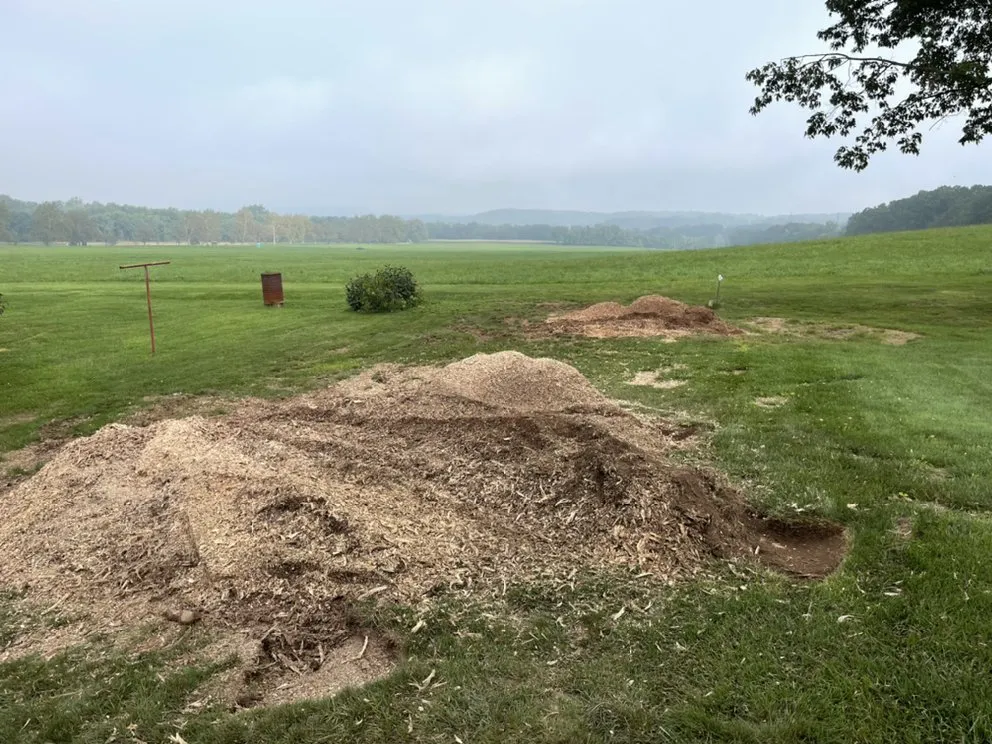 Local lawn mowing service in Millersburg, PA - Longs Stump Grinding Services