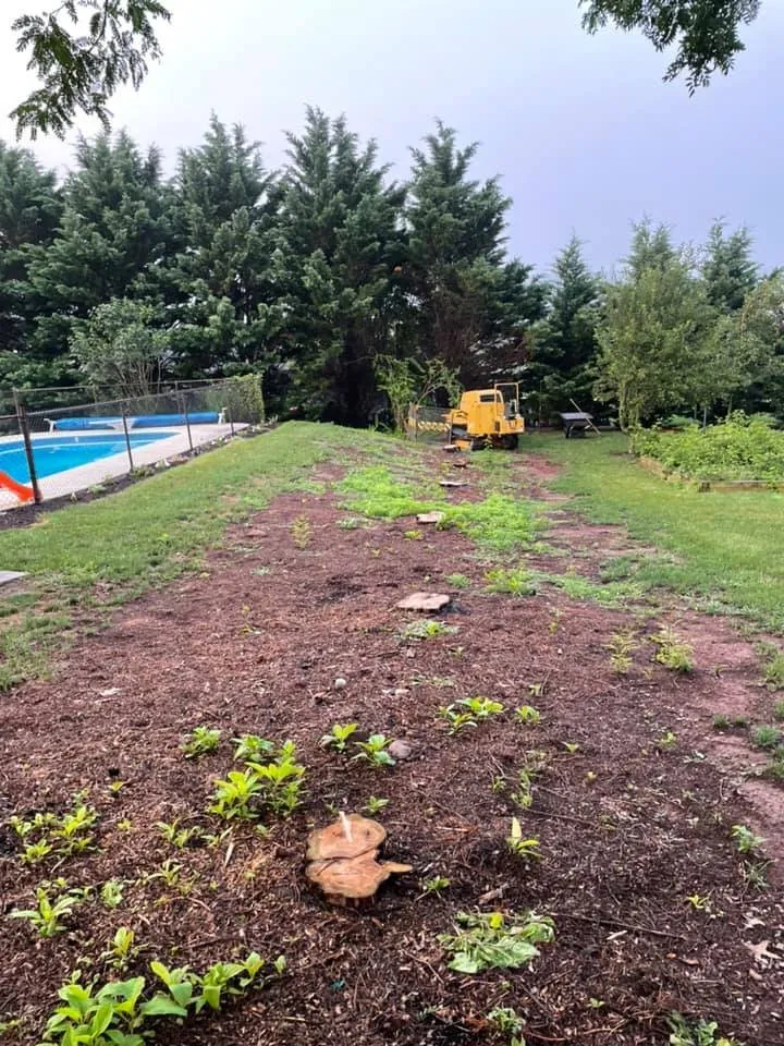 Expert yard maintenance with custom design across Millersburg, PA - Longs Stump Grinding Services