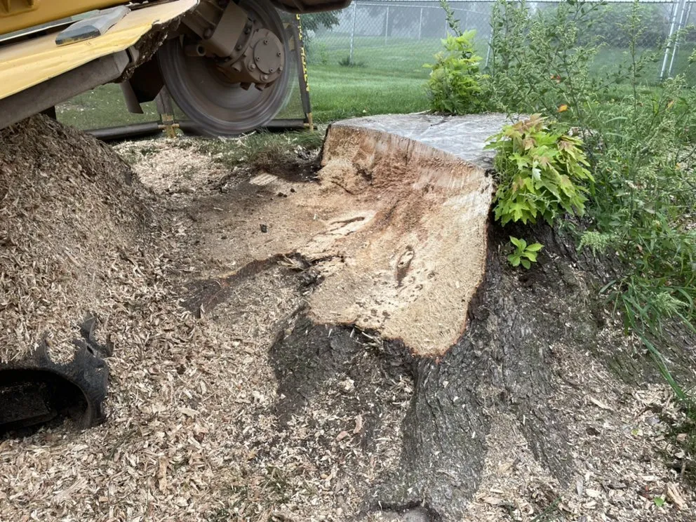 Local lawn care service for homes in Millersburg, PA by Longs Stump Grinding Services