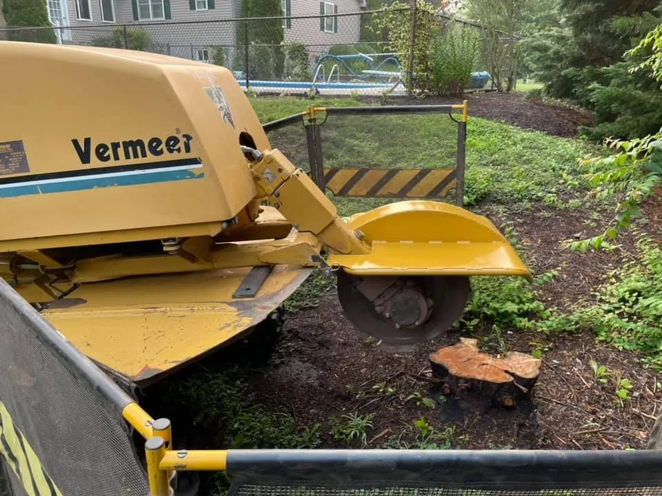 Expert landscape design with custom design across Millersburg, PA - Longs Stump Grinding Services