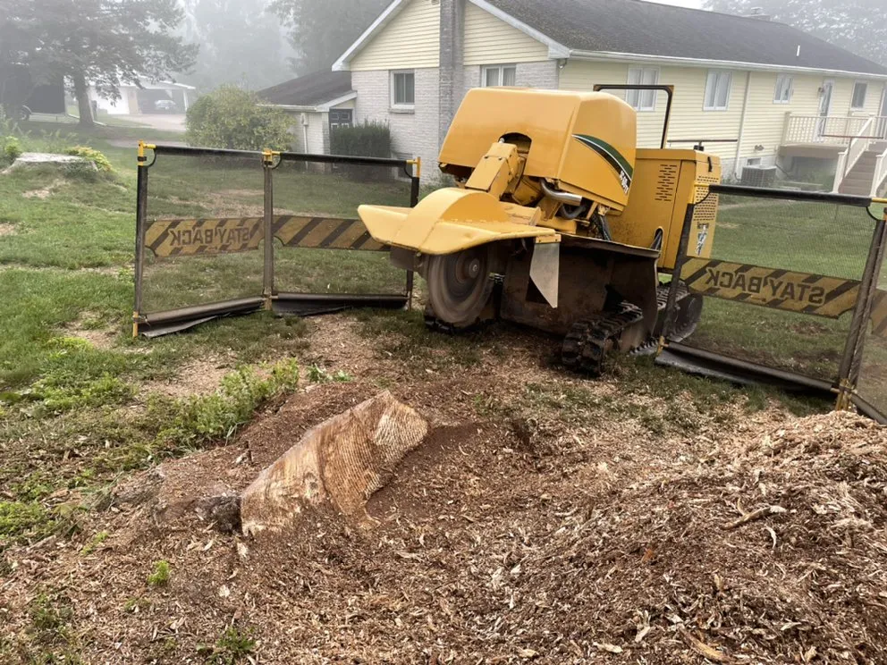 Trusted outdoor landscaping for outdoor upgrades in Millersburg, PA by Longs Stump Grinding Services