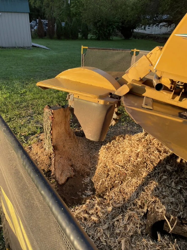 Expert landscape design for outdoor upgrades across Millersburg, PA - Longs Stump Grinding Services