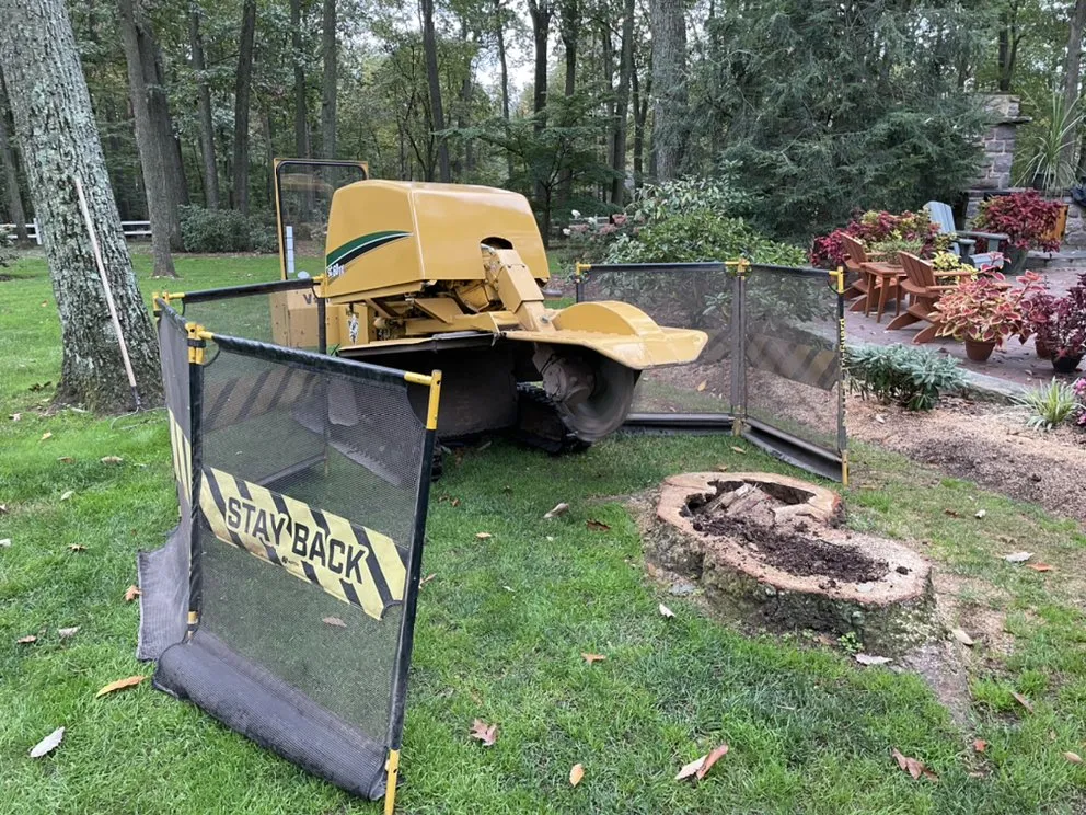 Affordable landscape design for year-round maintenance in Millersburg, PA by Longs Stump Grinding Services